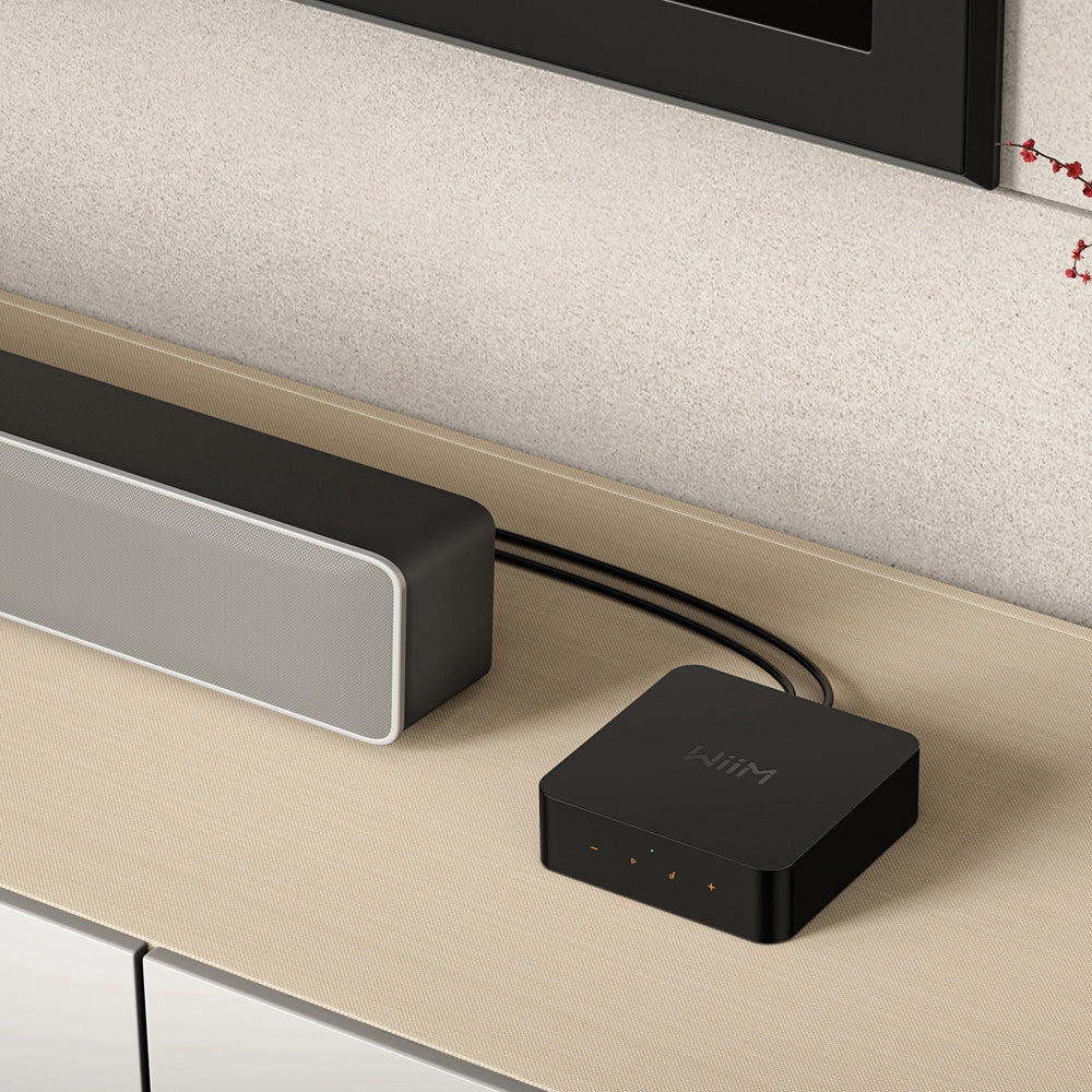 WiiM Pro Plus Wireless Audio Streamer AirPlay 2 & Chromecast - Airpulse Australia